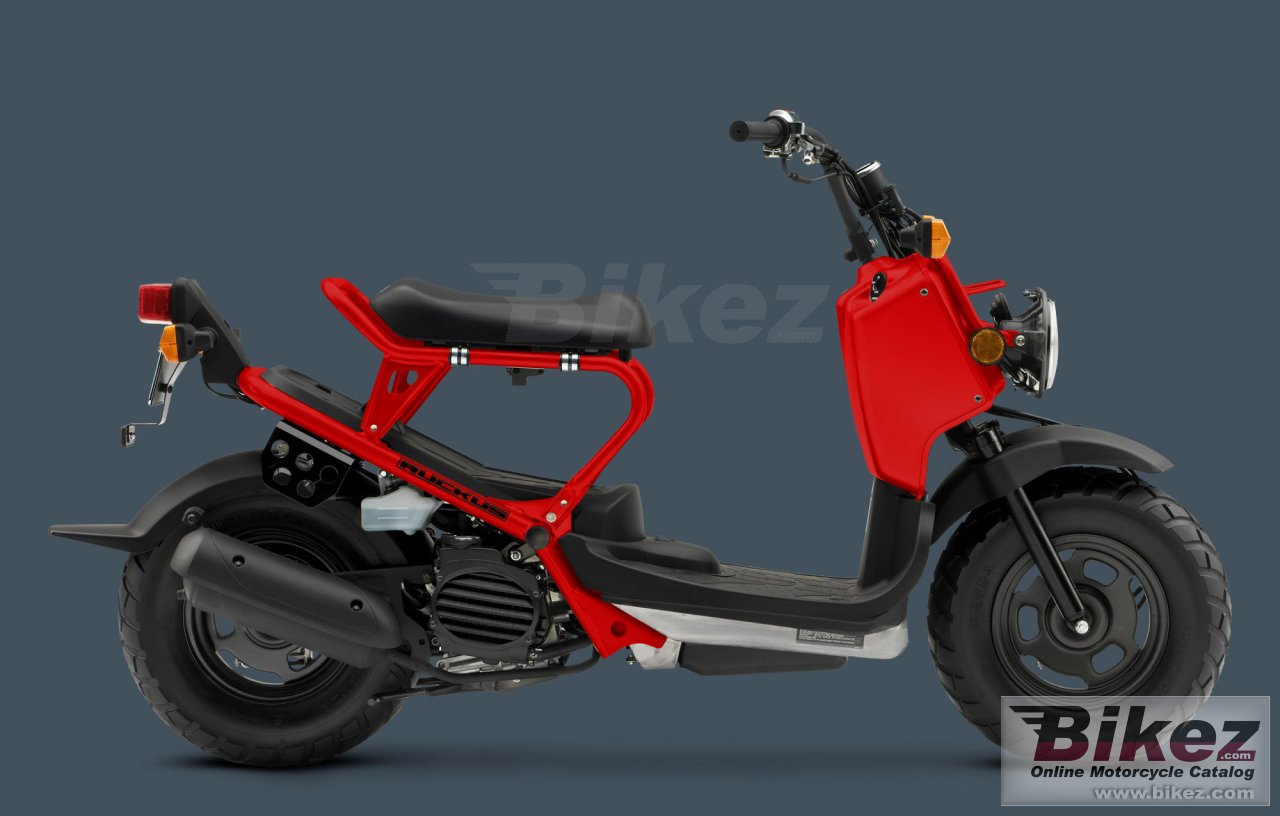 Honda Ruckus