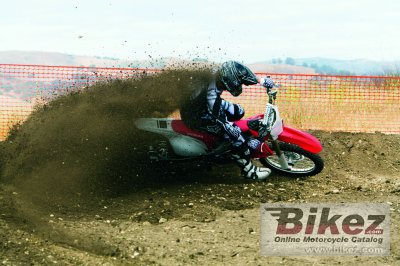 2010 Honda CRF250R