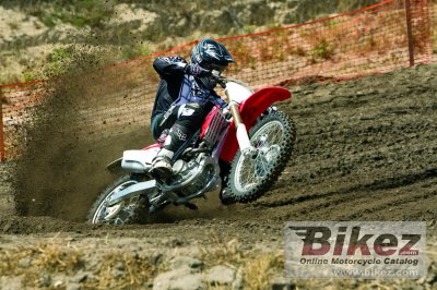 2010 Honda CRF250R