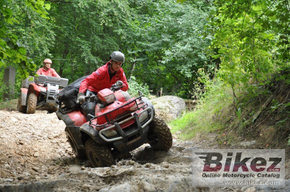 2011 Honda TRX420FPM