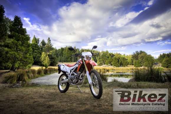 2013 Honda CRF250L