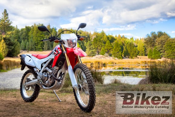 2013 Honda CRF250L