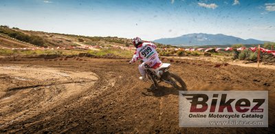 2013 Honda CRF450R