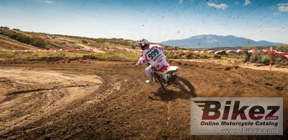 2013 Honda CRF450R