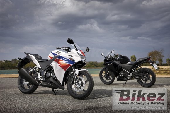 2013 Honda CBR 250R               