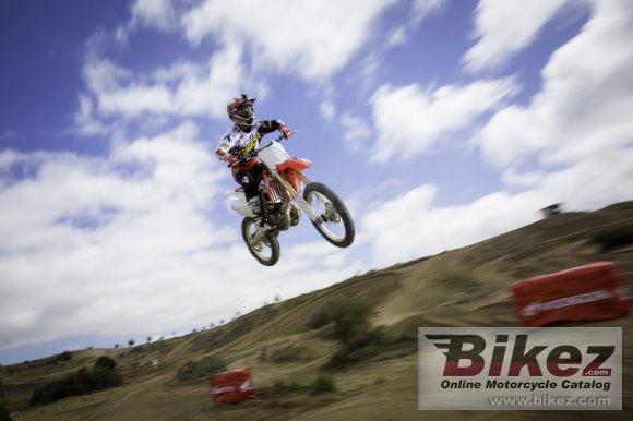 2014 Honda CRF250R