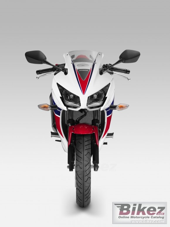 2014 Honda CBR 300R