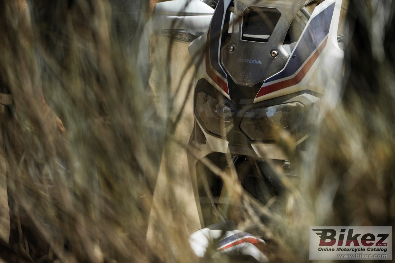 Honda Africa Twin DCT