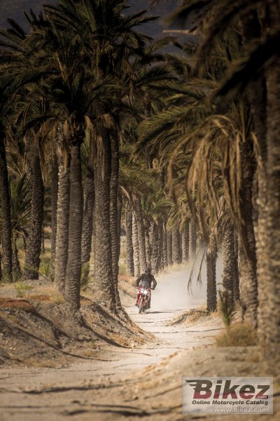 2016 Honda Africa Twin DCT