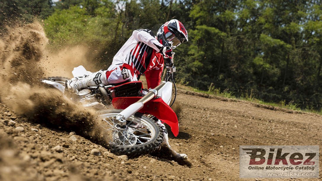 Honda CRF250RE                                              