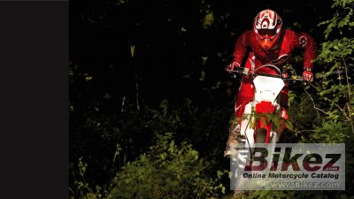 2017 Honda CRF250XRL                                        