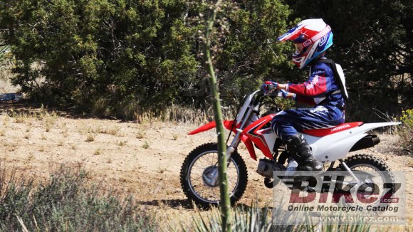 2018 Honda CRF110F