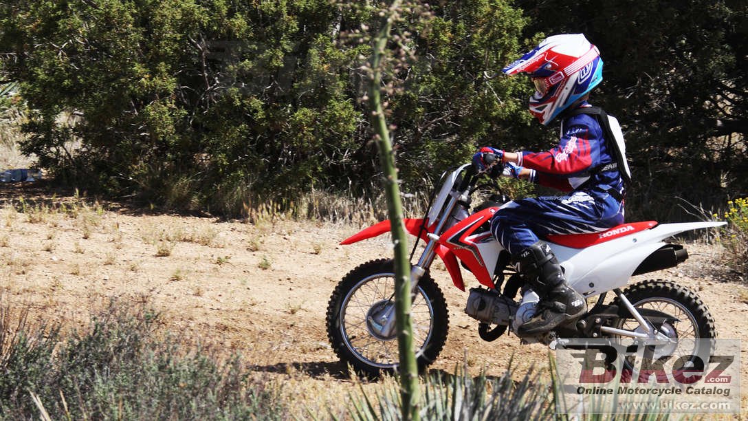 Honda CRF110F