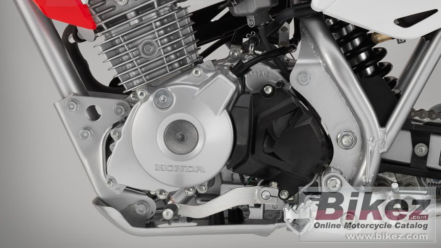 Honda CRF125F