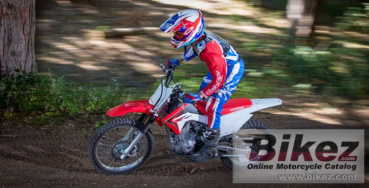 Honda CRF125F Big Wheel