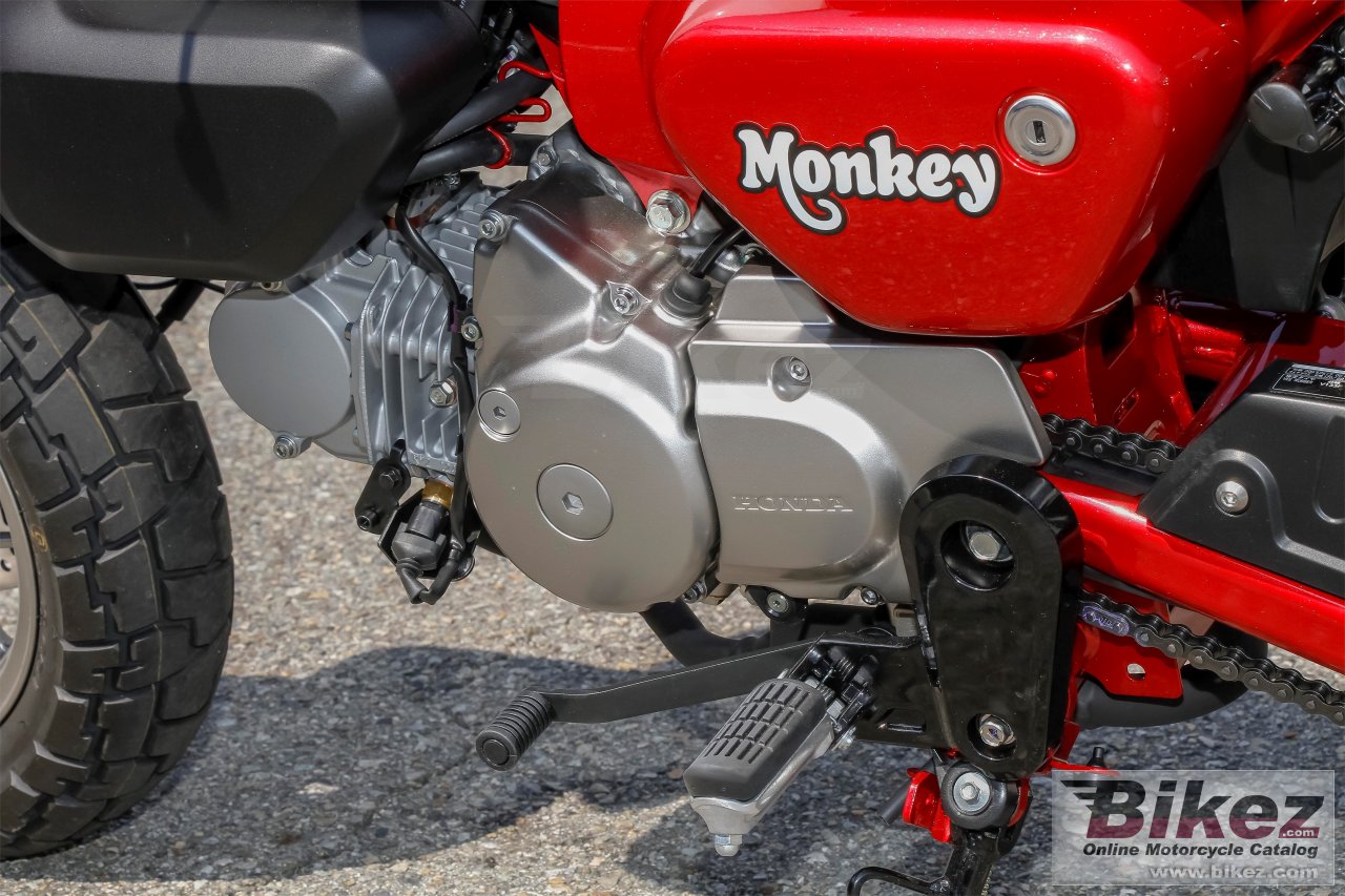 Honda Monkey