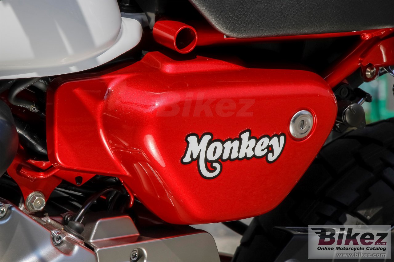 Honda Monkey