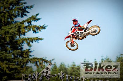 2019 Honda CRF250R
