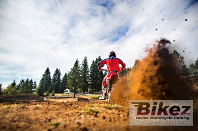 2019 Honda CRF250R