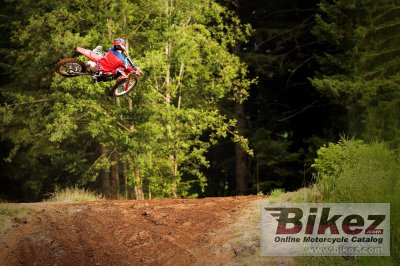 2019 Honda CRF250R