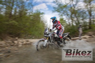 2019 Honda CRF450RX
