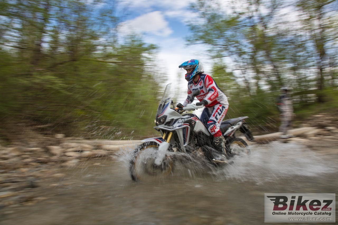 Honda CRF450RX
