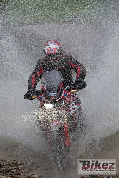 2019 Honda CRF450RX