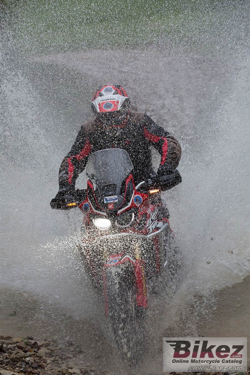 Honda CRF450RX