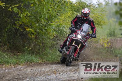 2019 Honda CRF450RX