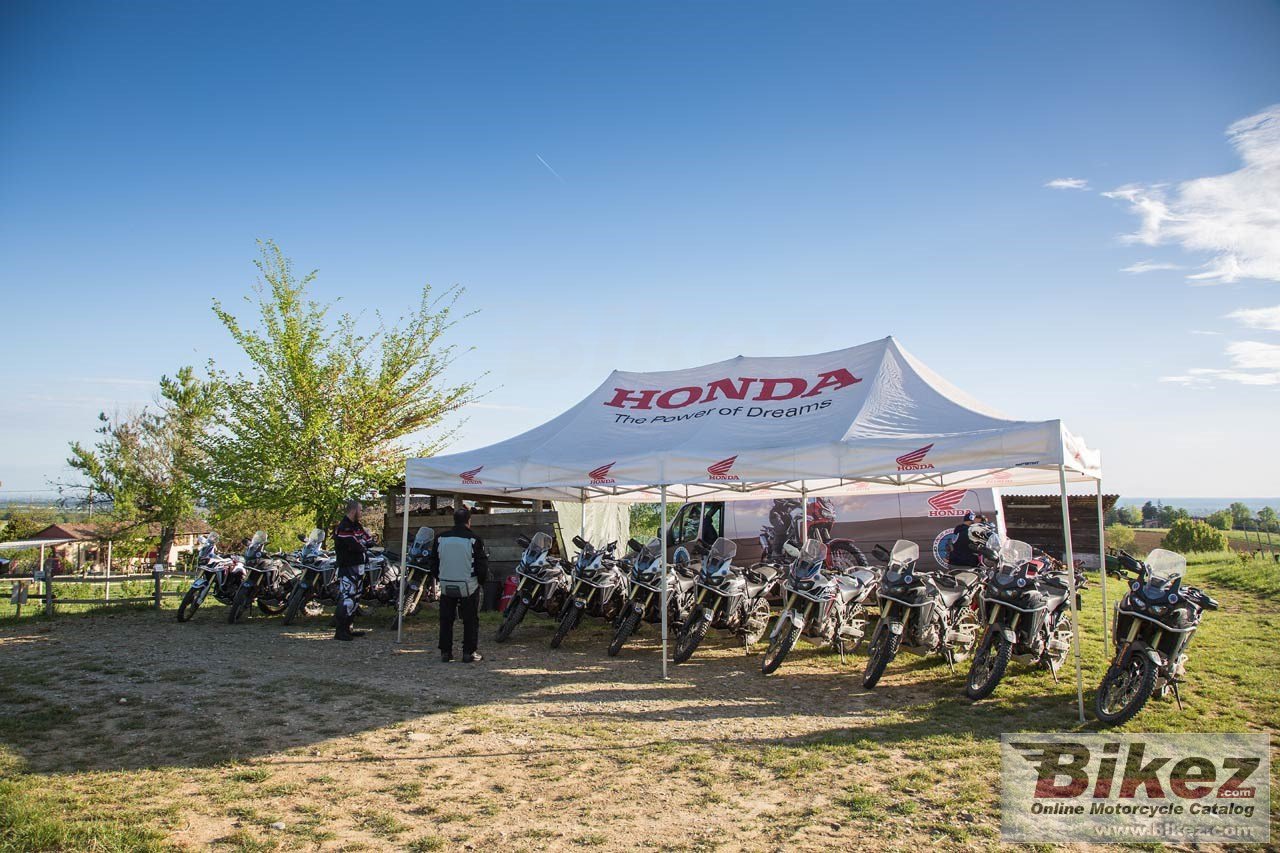 Honda CRF450RX