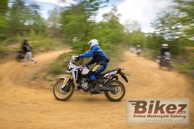 2019 Honda CRF450RX