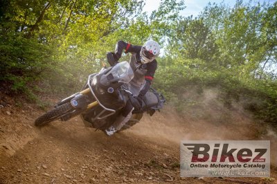 2019 Honda CRF450RX