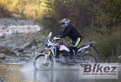 2019 Honda CRF450RX