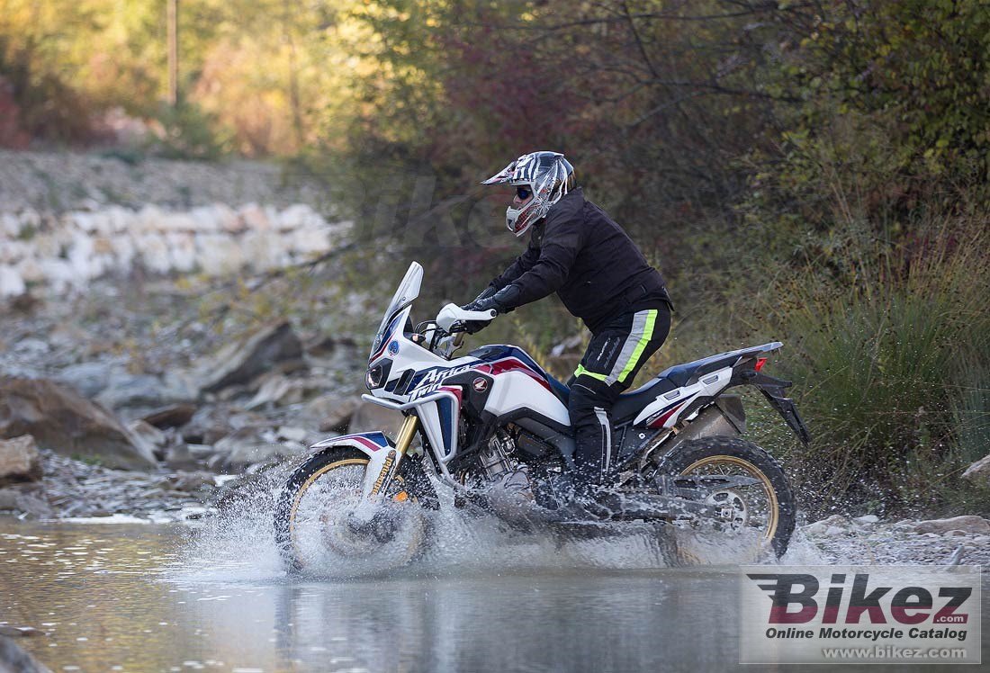 Honda CRF450RX