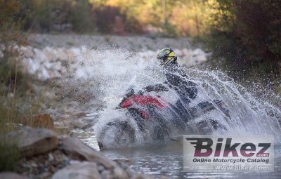 2019 Honda CRF450RX