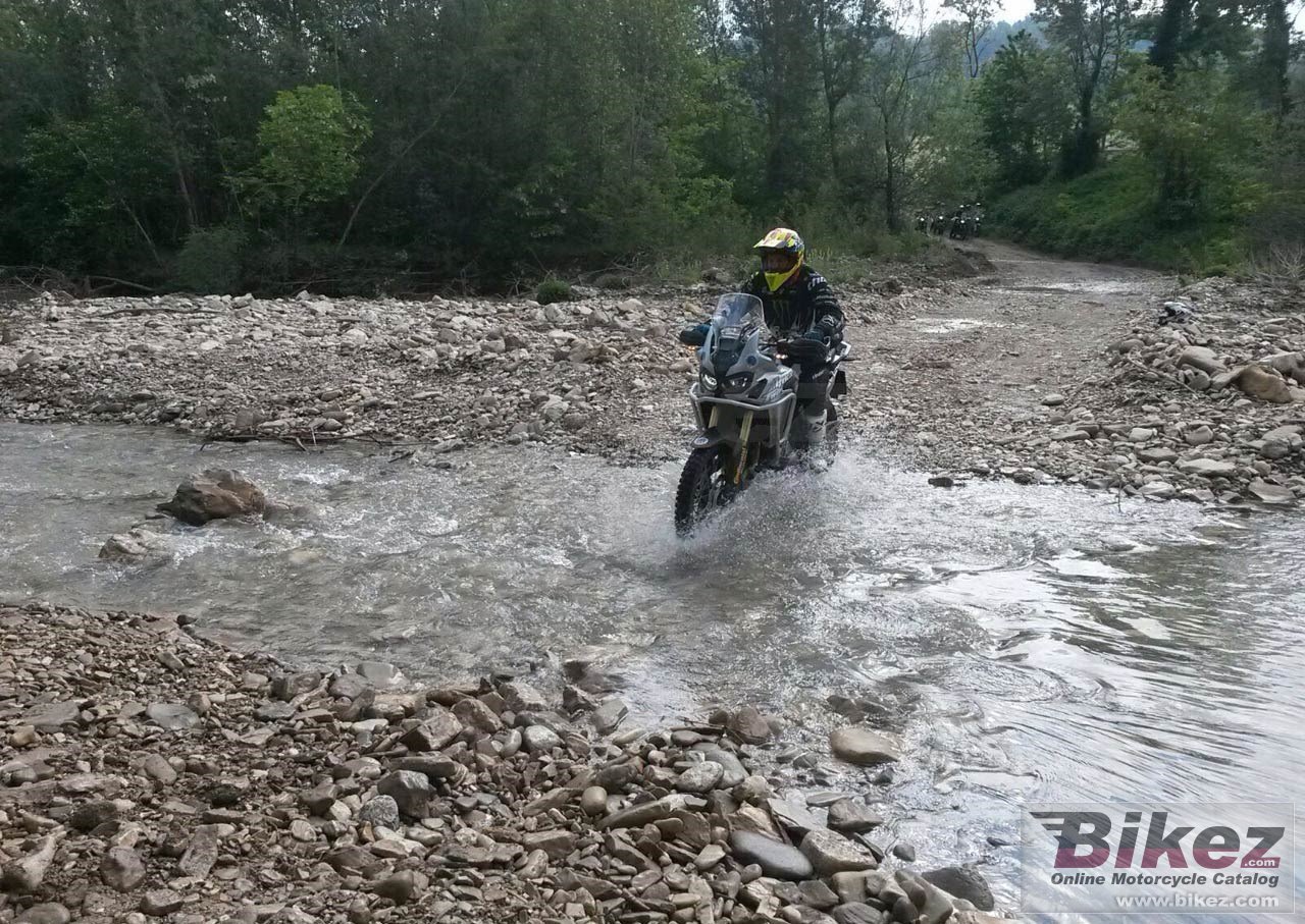 Honda CRF450RX