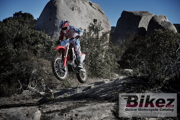 2019 Honda CRF450RX