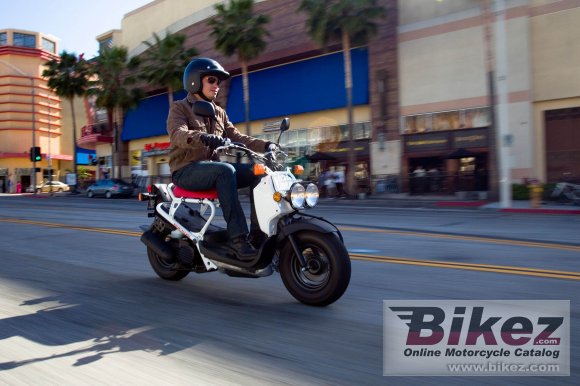 2020 Honda Ruckus