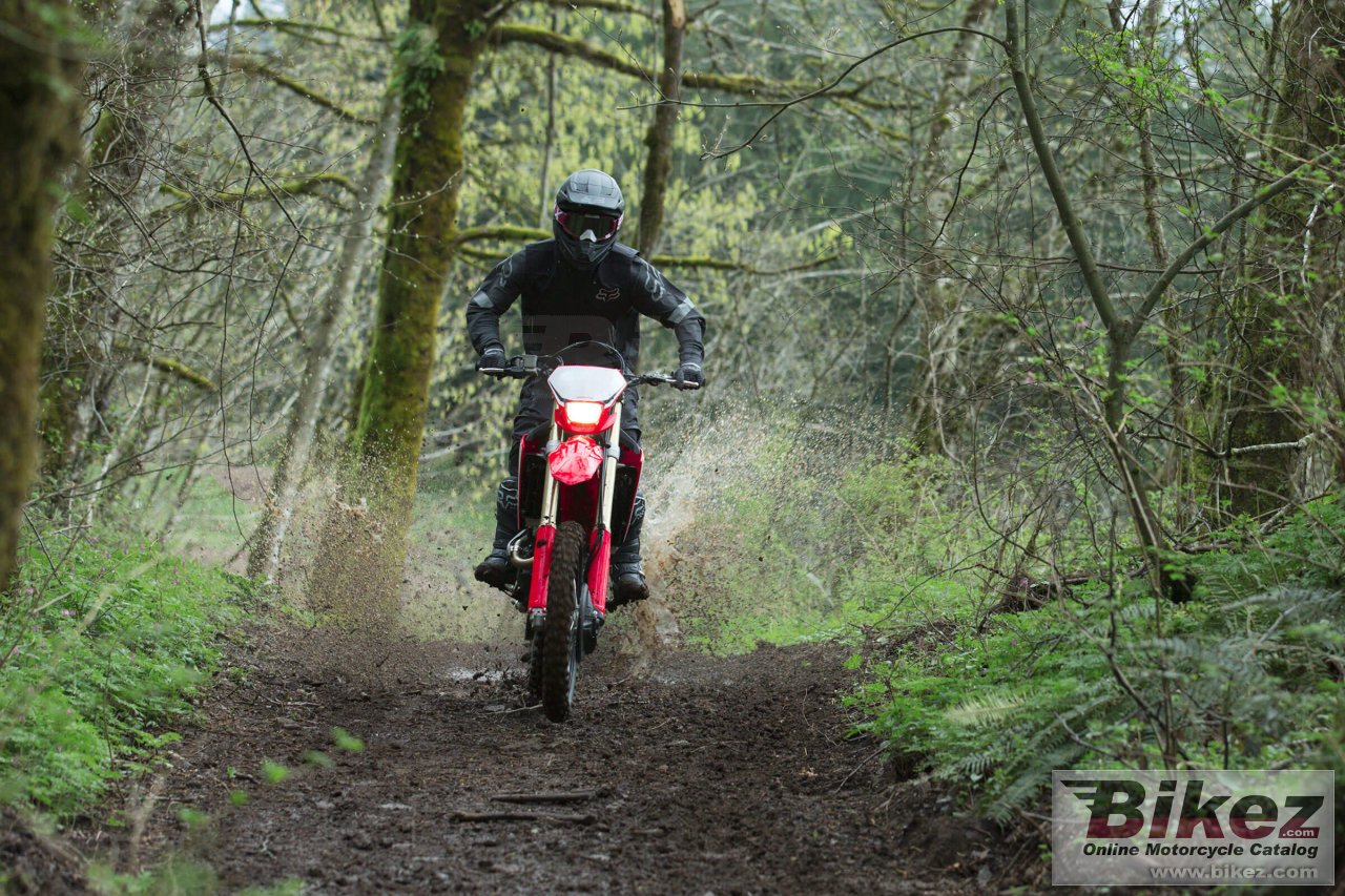 Honda CRF450X