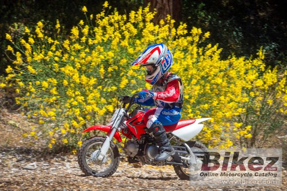 2020 Honda CRF50F