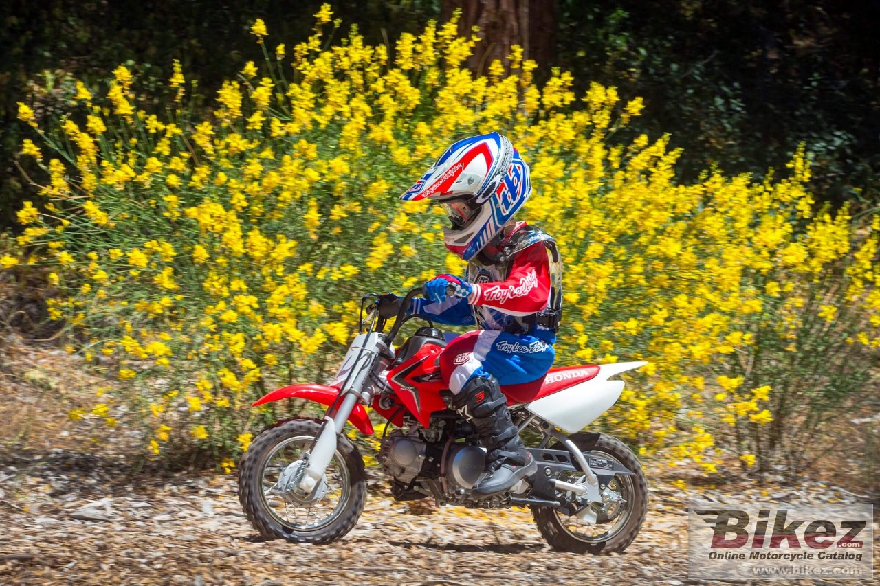 Honda CRF50F