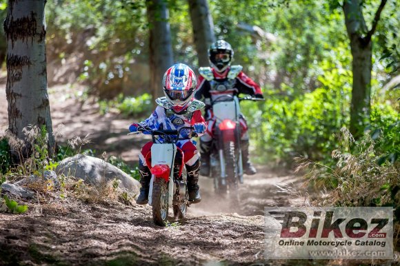 2020 Honda CRF50F