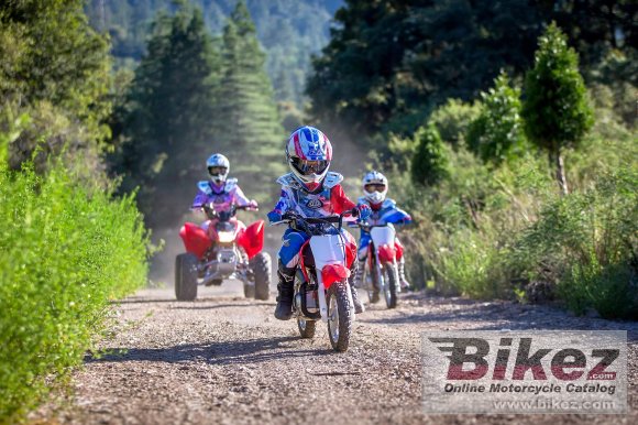 2020 Honda CRF50F