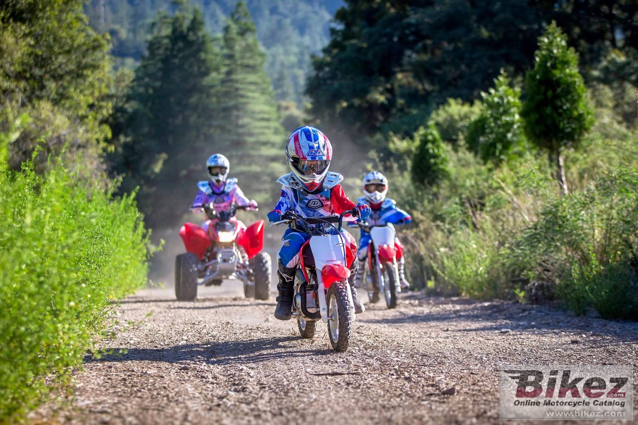 Honda CRF50F