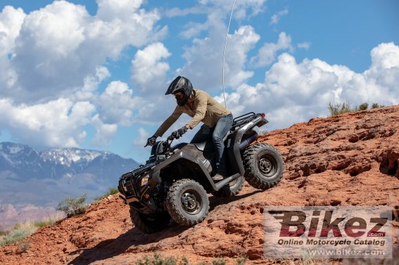 2020 Honda FourTrax Rancher