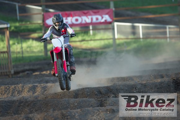 2021 Honda CRF250R