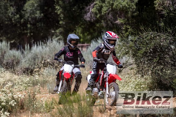 2021 Honda CRF110F