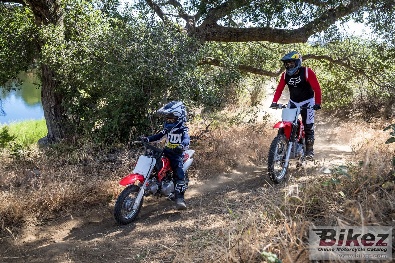 Honda CRF50F