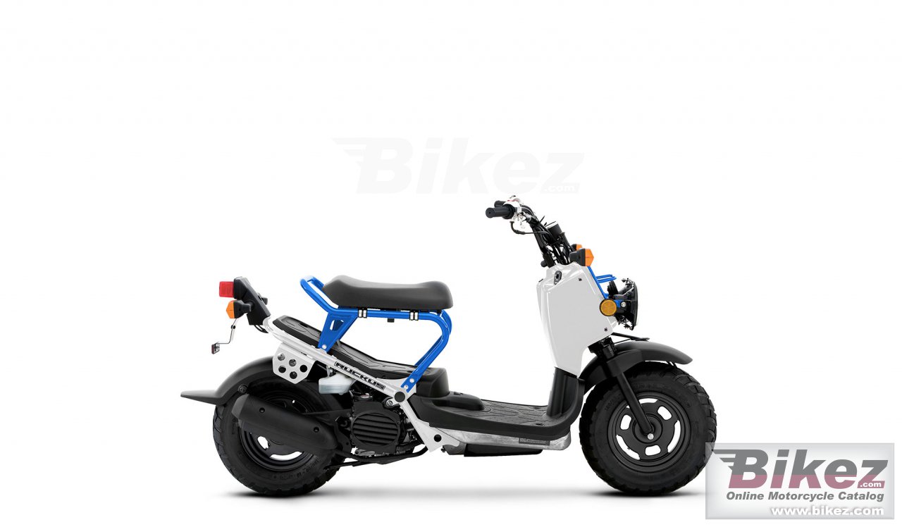 Honda Ruckus