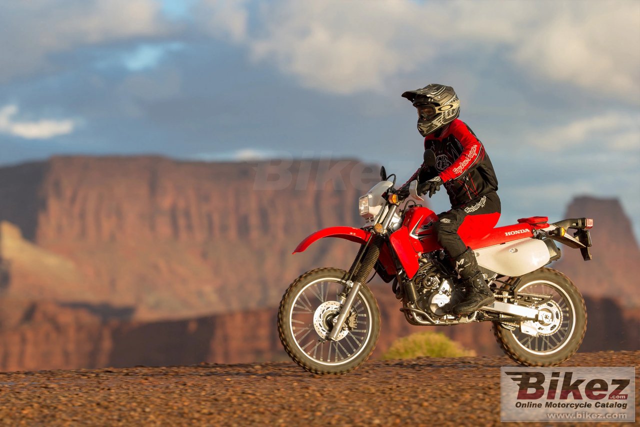 Honda XR650L